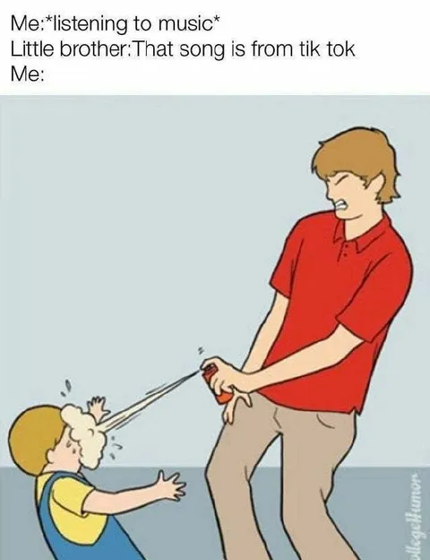 Little Brother Ruins the Song