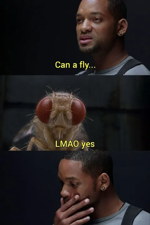 Can a Fly LMAO Yes