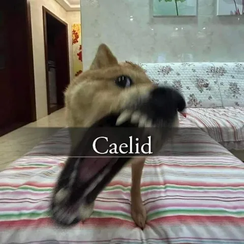 Caelid Dog Attack