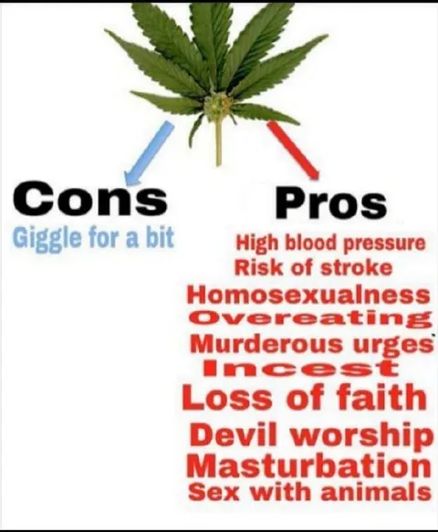 Cannabis Cons and Pros