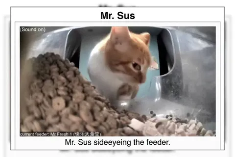 Mr. Sus Side-Eyeing the Feeder
