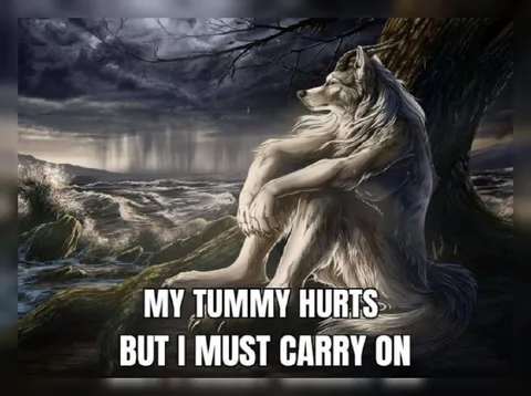 My Tummy Hurts But I Must Carry On