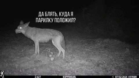 Куда я парилку положил