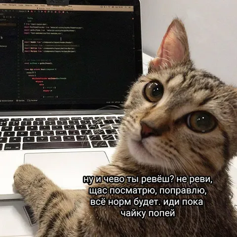 Кот чинит код и утешает