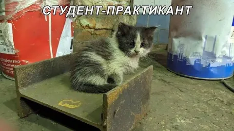 Студент-практикант на производстве
