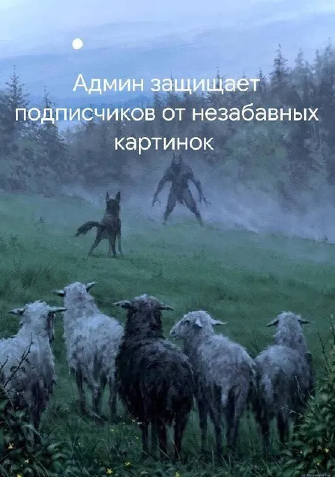 Админ защищает подписчиков