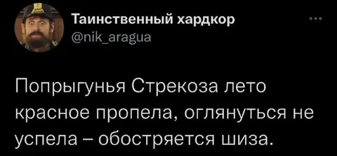 Попрыгунья Стрекоза осенью