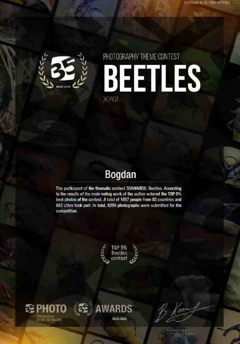 Top 5% Beetles Contest Certificate