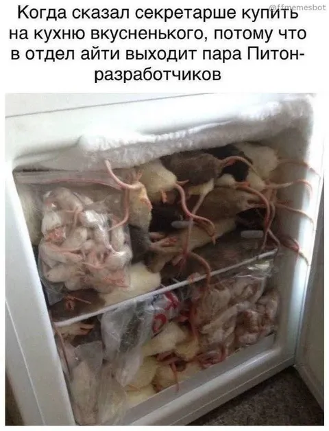 Питон-разработчики на кухне