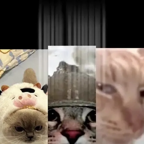 Сердитый кот в разных костюмах