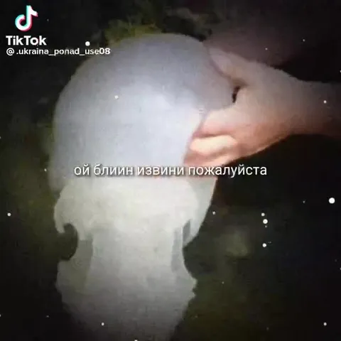 Ой, блин, извини пожалуйста