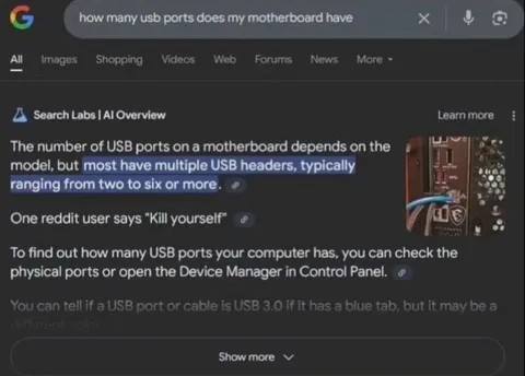 Google AI Answers USB Question