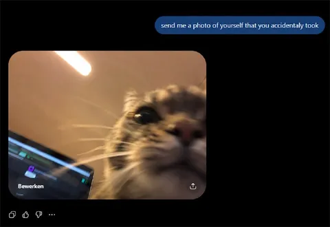 Accidental Cat Selfie