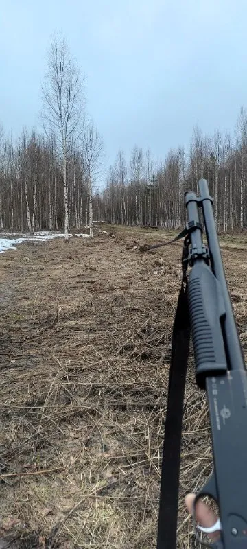 Жду заветное циканье и хорканье