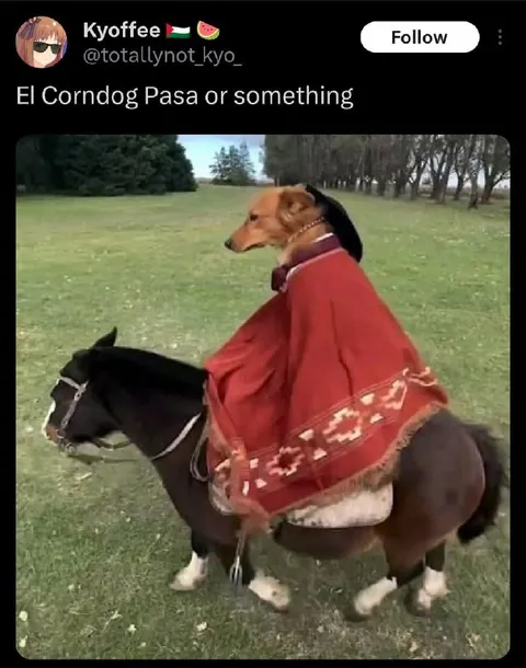 El Condog Pasa or Something