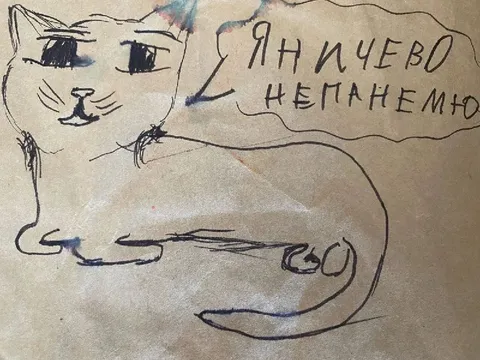 Кот ничего не понимает