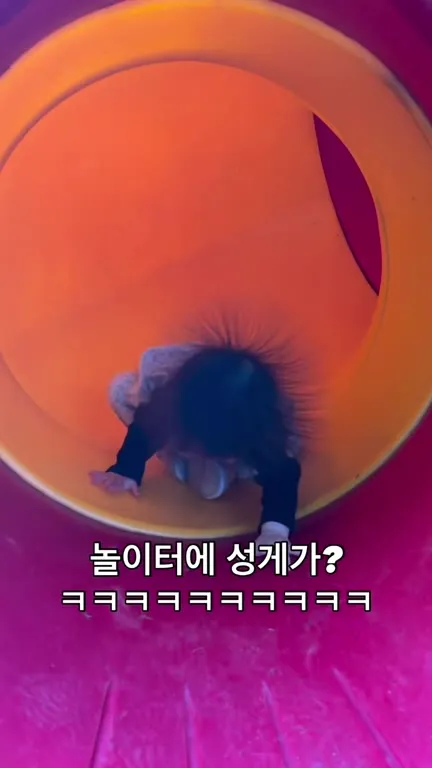 놀이터에 성게가?