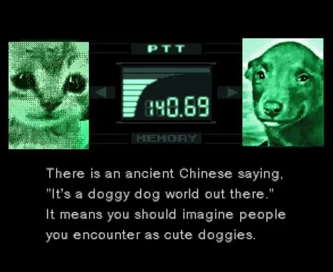 It's a Doggy Dog World