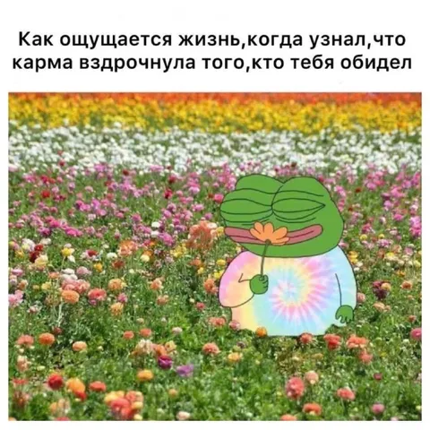 Карма наказала обидчика