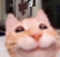Улыбающийся кот :3