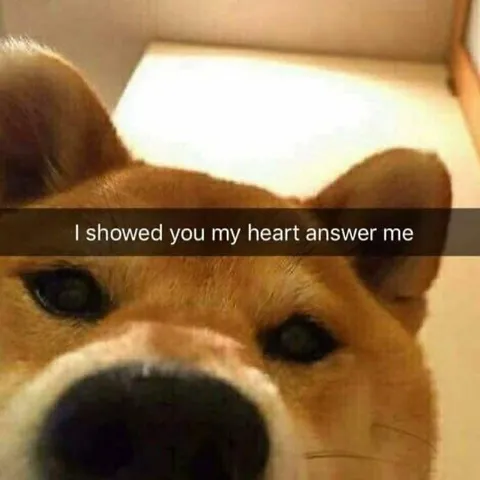 I Showed You My Heart