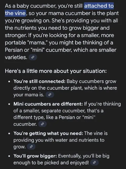 AI Explains Baby Cucumber Attachment