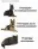 Три смешных кота