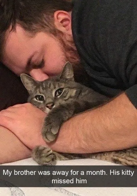 Kitty Missed Her Brother
