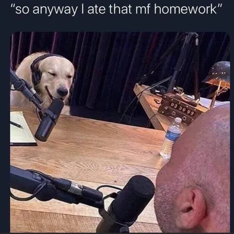 Dog Late With Homework