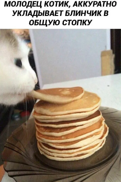 Котик аккуратно складывает блины