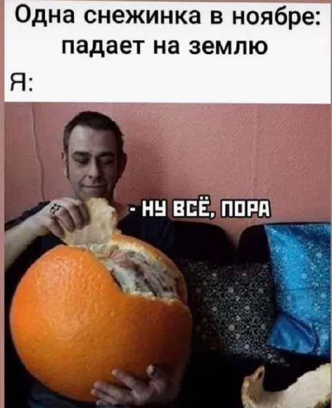 Одна снежинка в ноябре