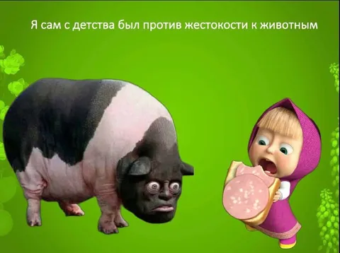 Против жестокости к животным