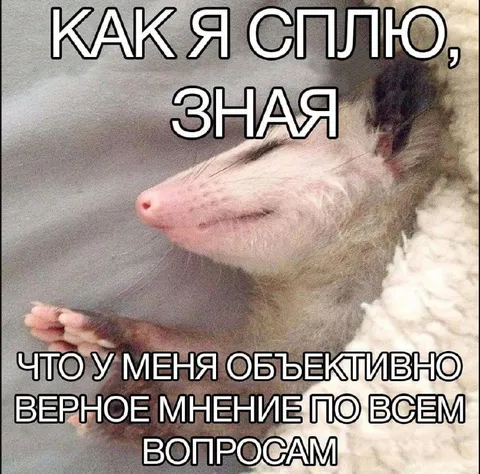 Как я сплю, зная правду