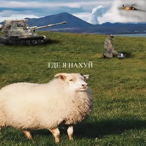 Где я нахуй