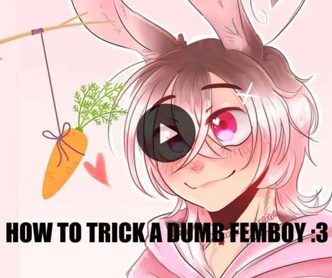 How to Trick a Dumb Femboy