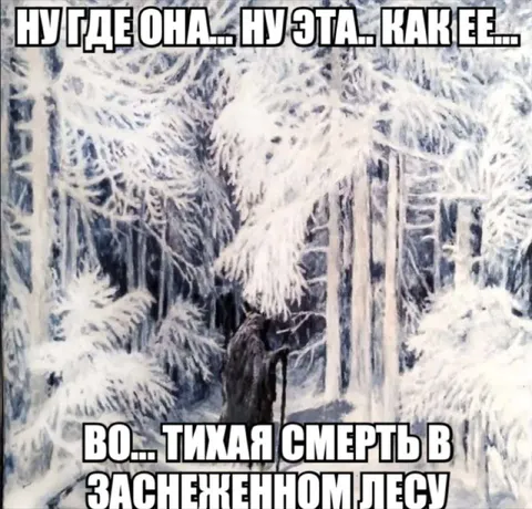 Тихая смерть в заснеженном лесу