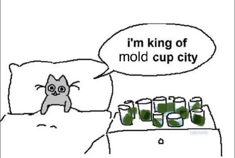 King of Mold Cup City