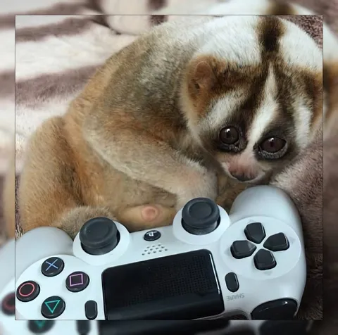 Грустный лори играет на PlayStation