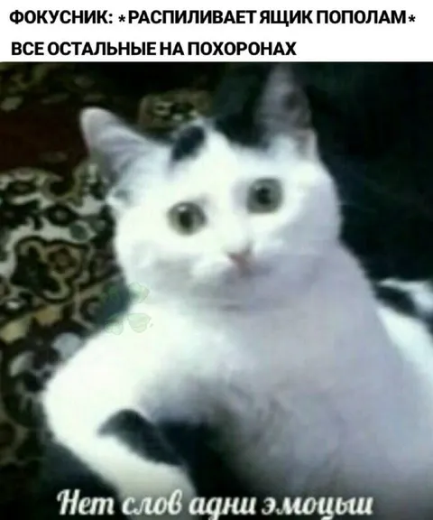 Фокусник распиливает ящик пополам