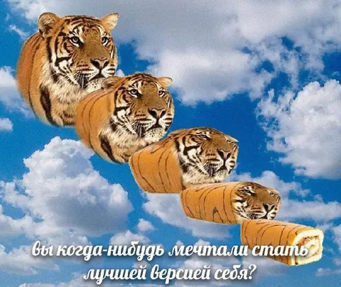 Лучшая версия себя