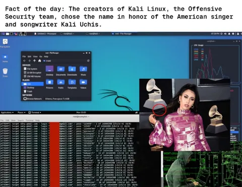 Kali Linux Named After Kali Uchis