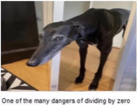 The Dangers of Dividing by Zero