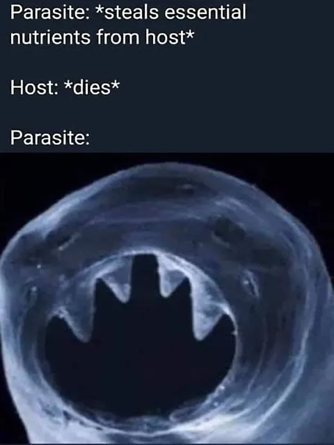 Parasite After Host Dies