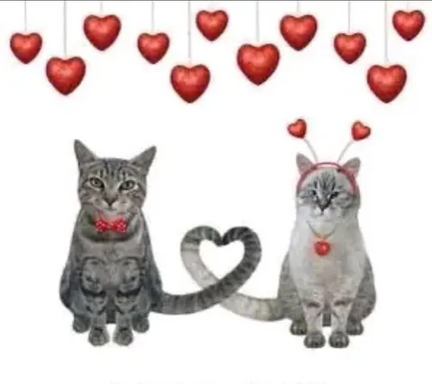 Влюблённые котики с сердцем