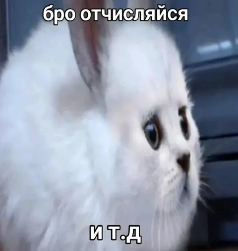 Бро, отчисляйся и так далее