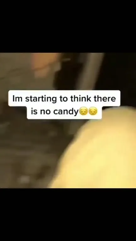 Searching Everywhere for Candy