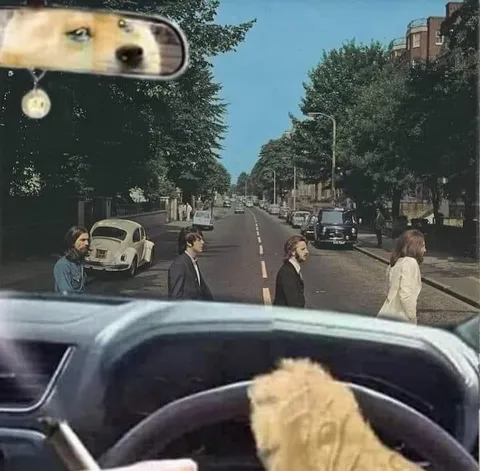 Собака за рулём на Abbey Road