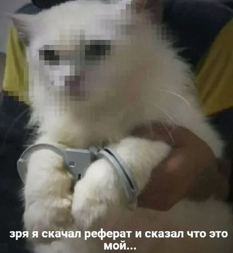 Скачал реферат и выдал за свой