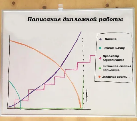 График написания дипломной работы