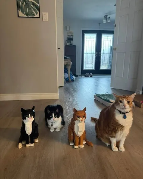 Коты и их деревянные двойники
